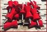 Polyurethane V-rollers